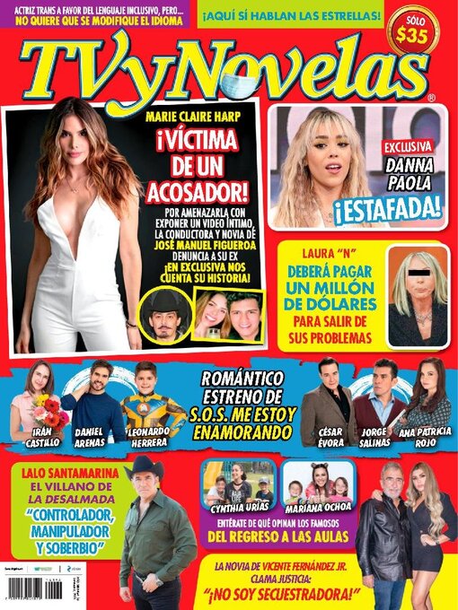 Cover image for TV y Novelas México